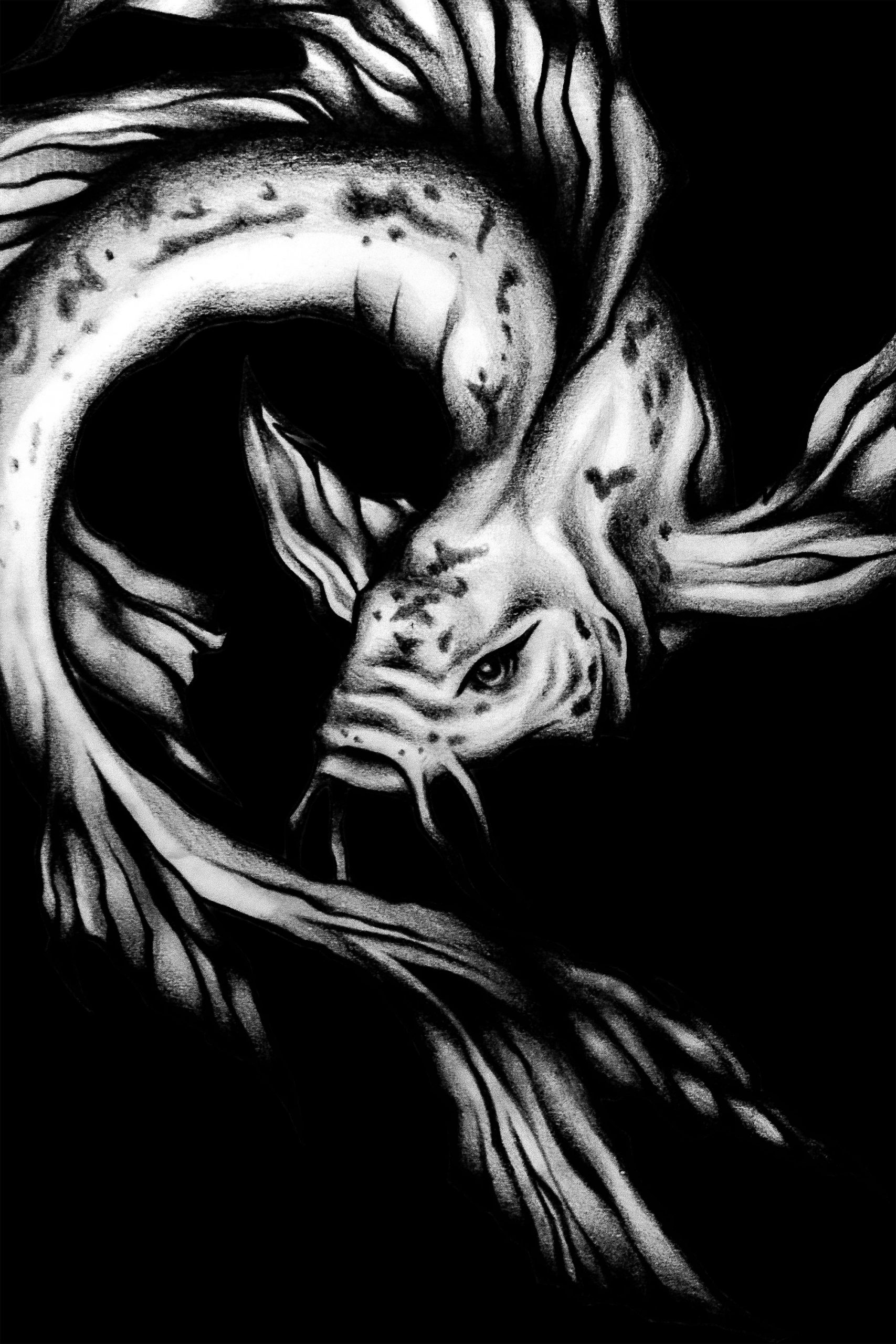 Koi